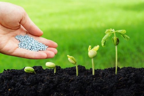 Bio Potash - Granular Organic Fertilizer for Enhanced Potassium Supply | Ideal for Agricultural Applications Nutrient-Rich Formulation